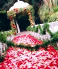 catholic outdoor wedding.